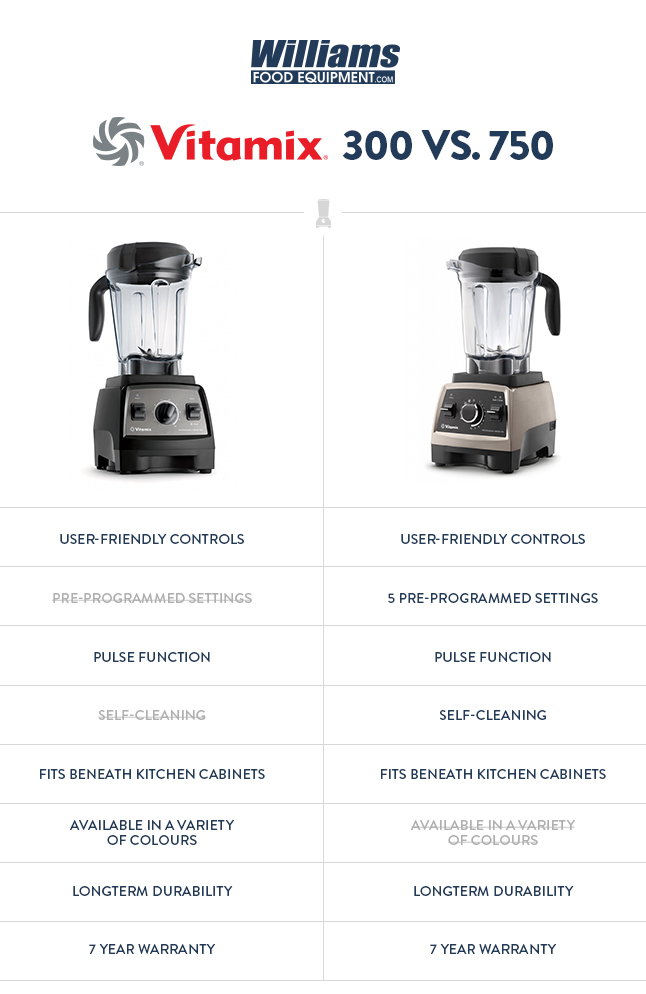 Comparing the Vitamix Pro 750 with the Vitamix Pro 300