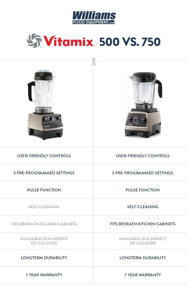 Comparing the Vitamix Pro 750 with the Vitamix Pro 500