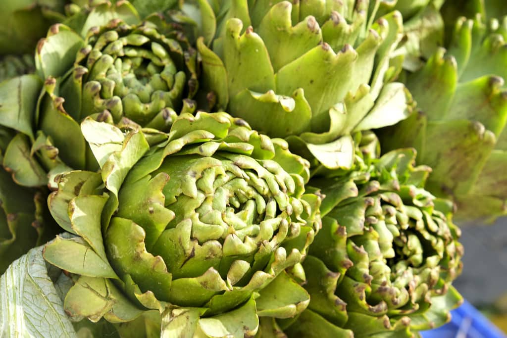 Artichokes Ward Off Colds and Flu