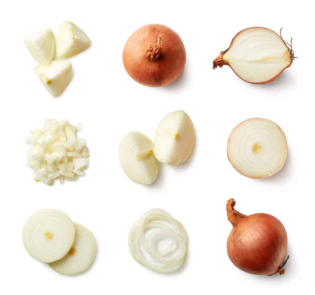 Healthy Onion Recipes